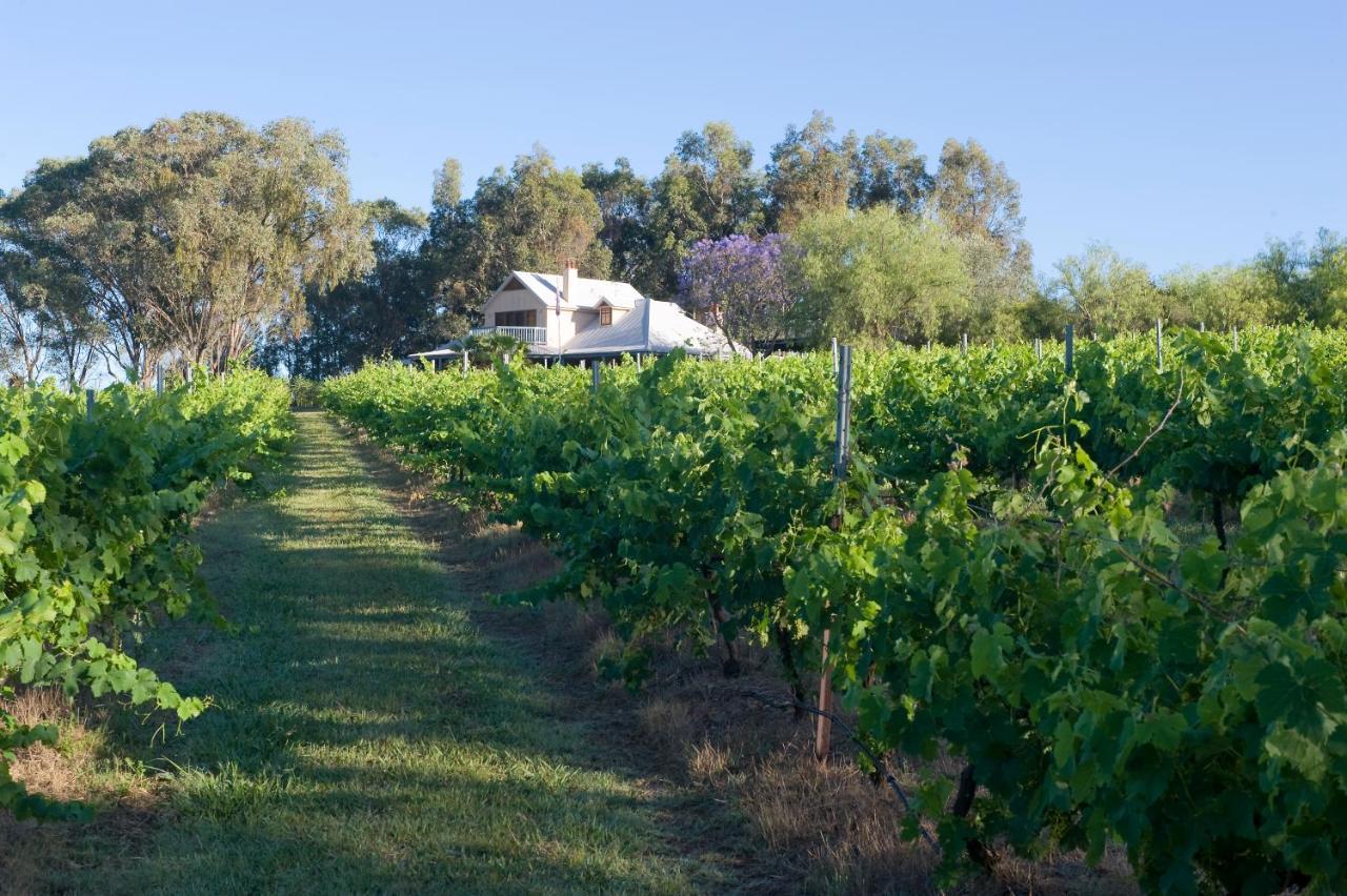 Spicers Vineyards Estate Otel Pokolbin Dış mekan fotoğraf